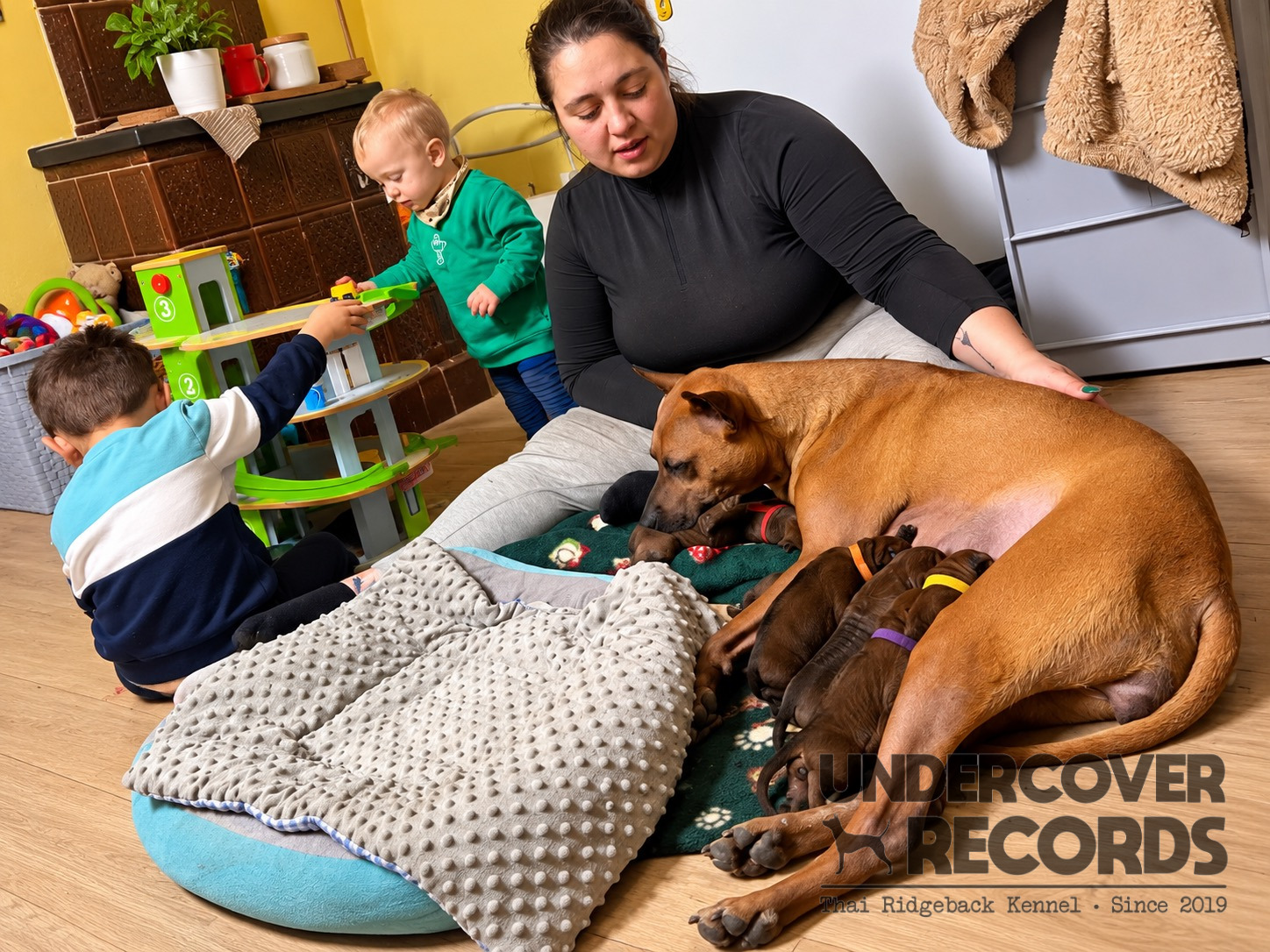 Maya mit ihren Welpen im Familienalltag